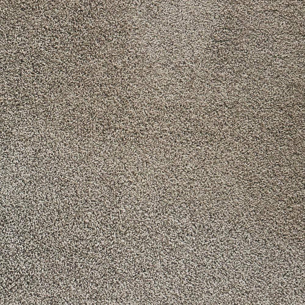 -Frosted Pebble Beige Residential 24 in. x 24 in. Peel and Stick Carpet Tile Square (36 sq. ft. ) price history on PriceWatchPro