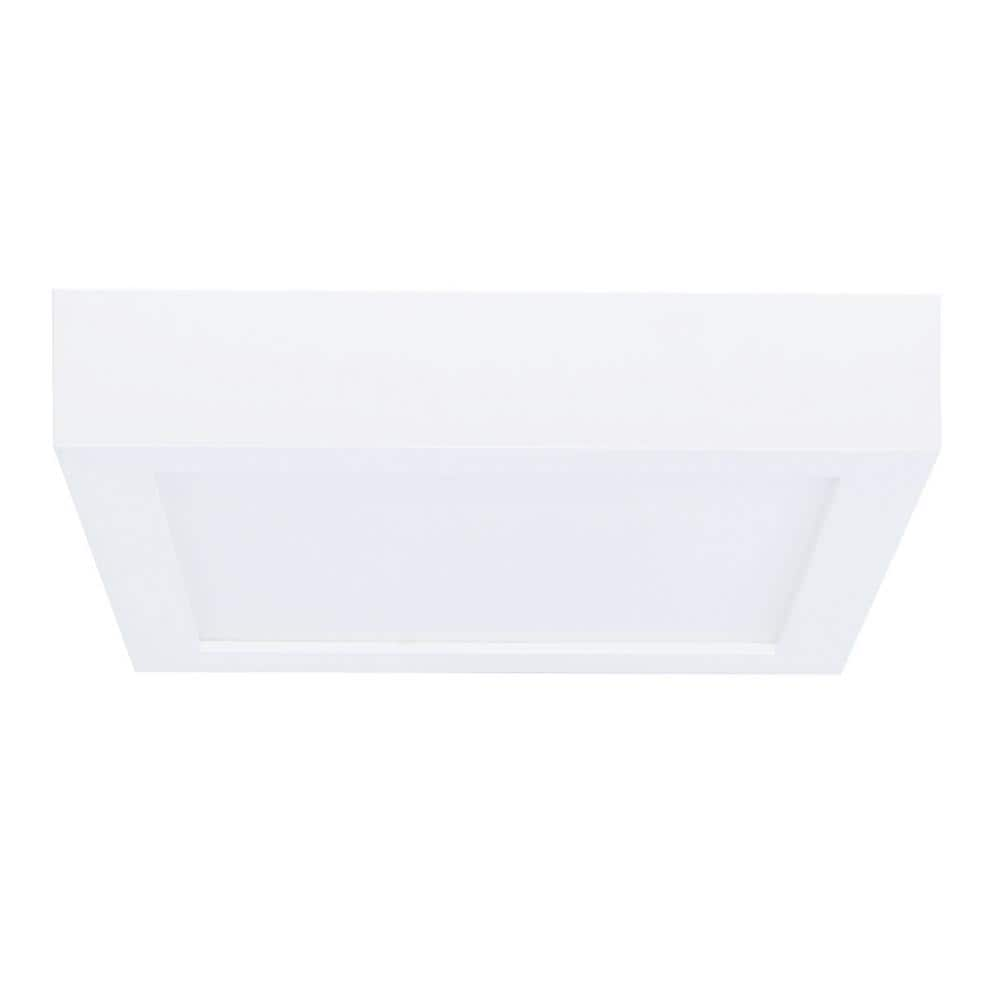 Bulbrite 40-Watt Equivalent BT15 With Medium Screw Base E26 In White ...