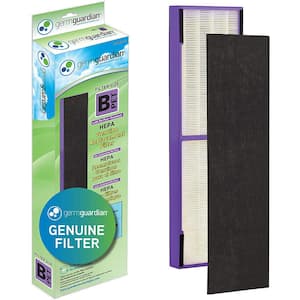 True HEPA with Pet Pure Treatment GENUINE Replacement Filter B for AC4300/AC4800/4900 Series