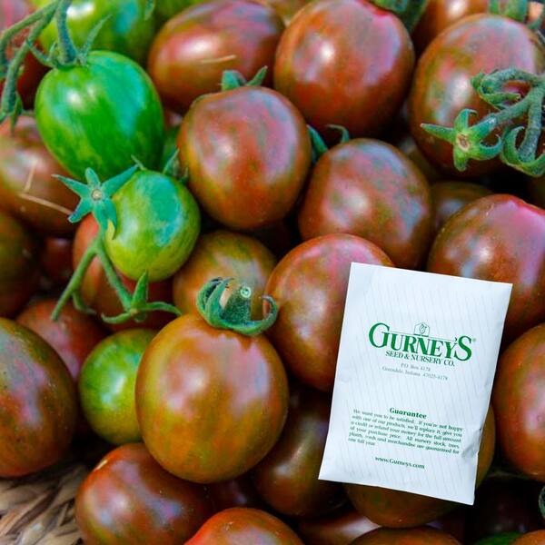 Gurney's Tomato Chocolate Sprinkles Hybrid (10 Seed Packet)