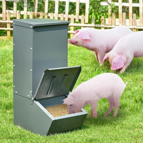 Hog Feeder, 2.2 Bushel Capacity, Single Door, Heavy Duty Steel, Ideal for Piglets, Multipurpose Outdoor Livestock Feeder