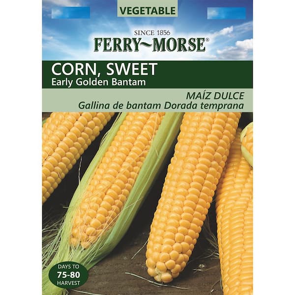 Economy Sweet Corn Golden Cross Bantam Vegetable Seed