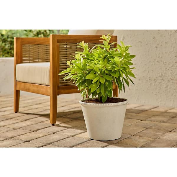 12 in. Elodie Creme Plastic Planter (12 in. D x 8.7 in. H)