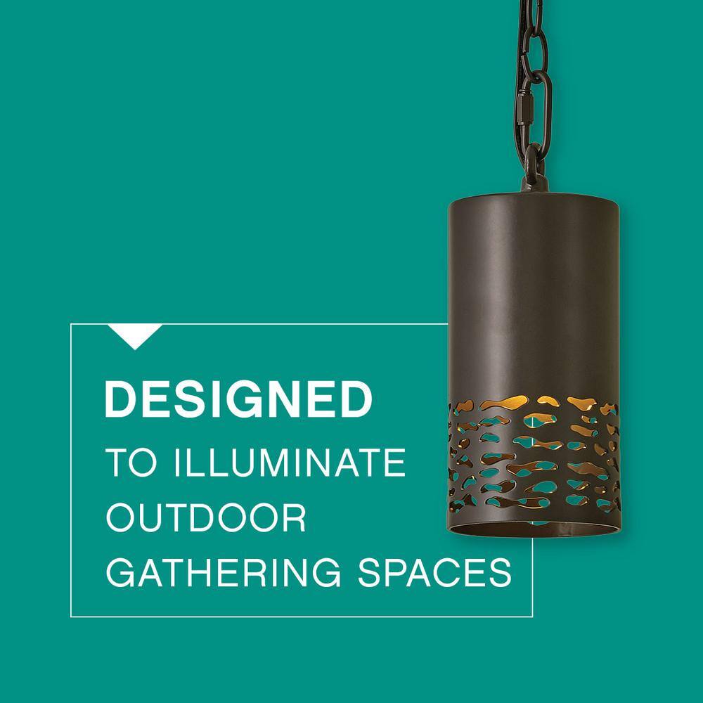 Bronze Aluminum LED Indoor/Outdoor Pendant Light