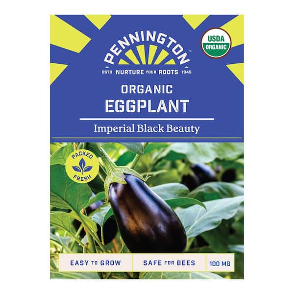Organic Black Beauty Eggplant Fruit Seeds
