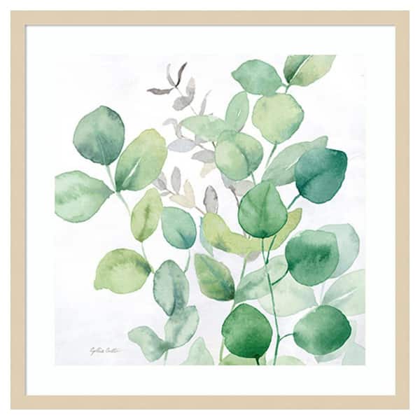 Amanti Art Eucalyptus Leaves I by Cynthia Coulter 25 in. W x 25 in. H. Wood Framed Wall Art Print Framed in Brown