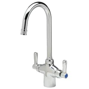 Single Hole 2-Handle Laboratory Faucet in Chrome