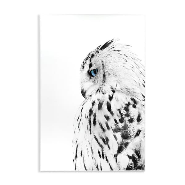 Stupell Industries Owl with Strong Blue Gaze by Design Fabrikken Unframed Animal Graphic Art Print 19 in. x 13 in.