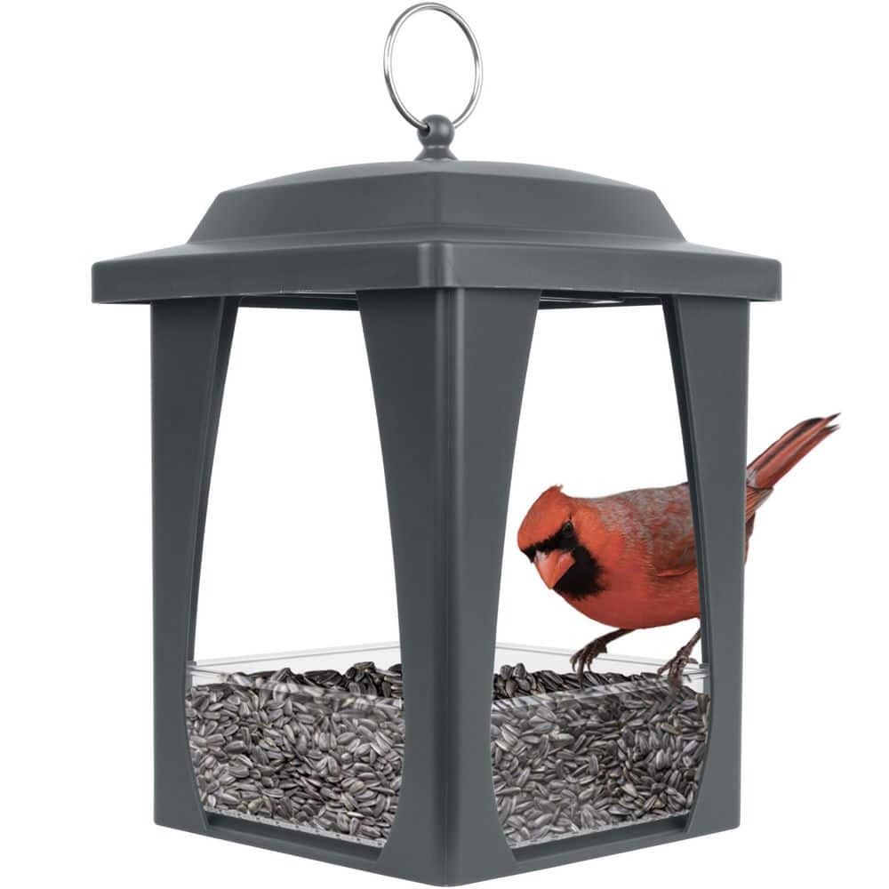 Wild Wings Dine-in Hanging Plastic Fly Through Bird Feeder with
