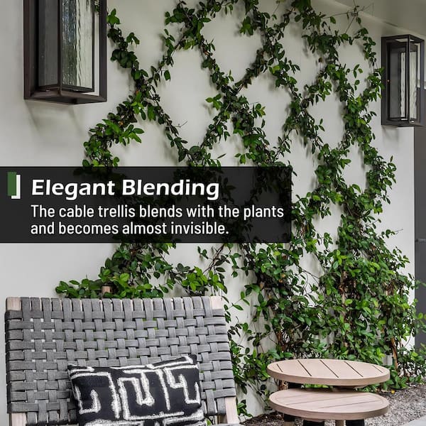 trellis netting for climbing plants Trellis Netting