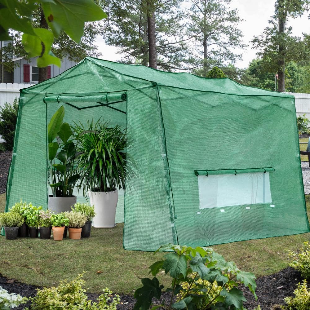 Green 7 ft x 8.5 ft PE Pop-Up Walk-In Greenhouse with Roll-Up Windows