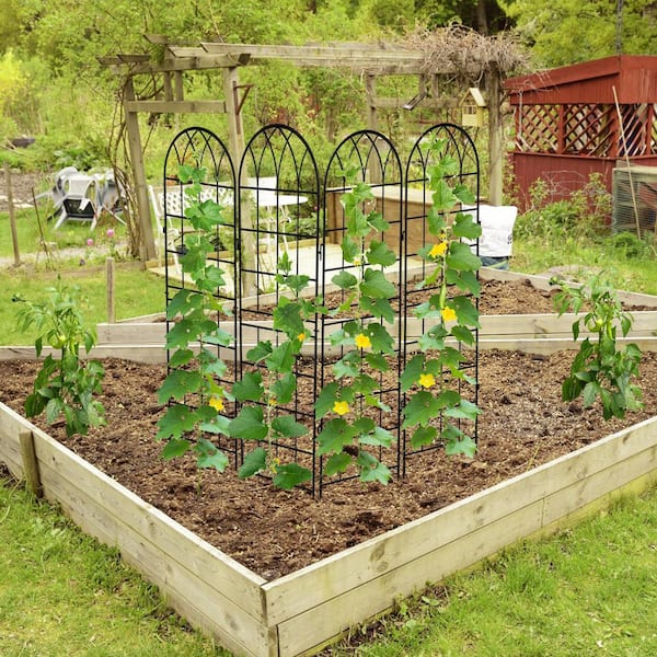 BOZTIY 4-Pack Metal Garden Trellis for Climbing Plants Metal Garden Trellis for Vines Plant Rose Vegetable Support, Black