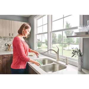 Camerist Single-Handle Pull-Out Sprayer Kitchen Faucet in Spot Resist Stainless