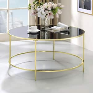 Skyes 36 in. Brass Plating Round Glass Top Coffee Table