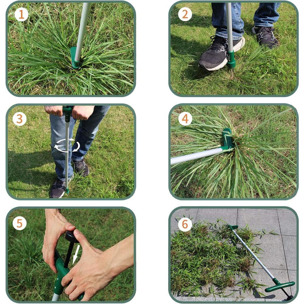 39.5 in Green and White Stainless Steel Stand-Up Garden Weeder