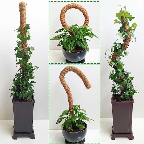 D*y様 moss stick Q156&burton Malavita Amazon.com : 48 Inches Bendable Moss Pole Monstera Plant Support