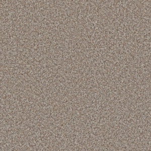 Folklore III - Tradition Beige - 75 Oz. SD Polyester Texture Installed Carpet