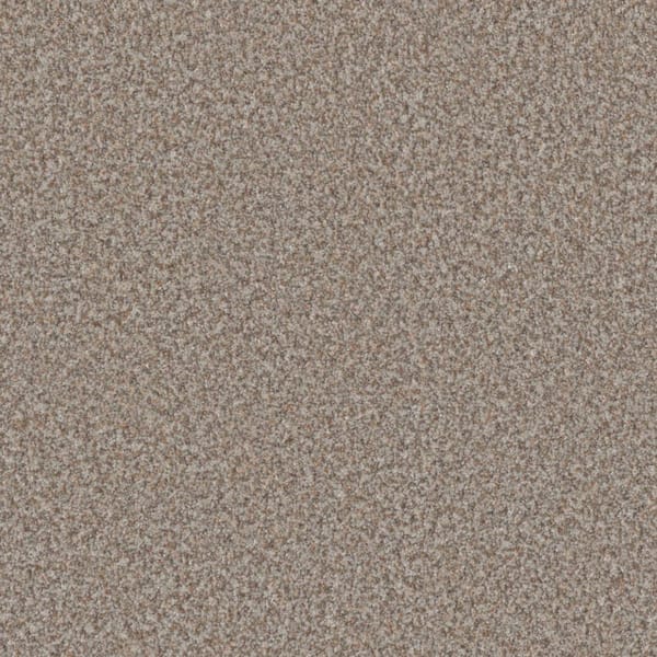 Folklore III - Tradition Beige - 75 Oz. SD Polyester Texture Installed Carpet