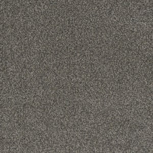 Westchester III - Magnet - Gray 70 oz. Polyester Texture Installed Carpet