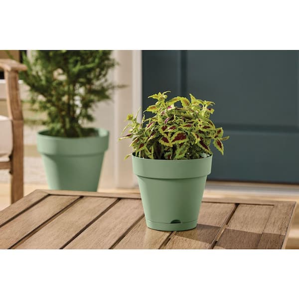 Vivienne Small Green Plastic Round Self-Watering Planter with Attached Saucer (6 in. L x 6 in. W x 5.51 in. H)