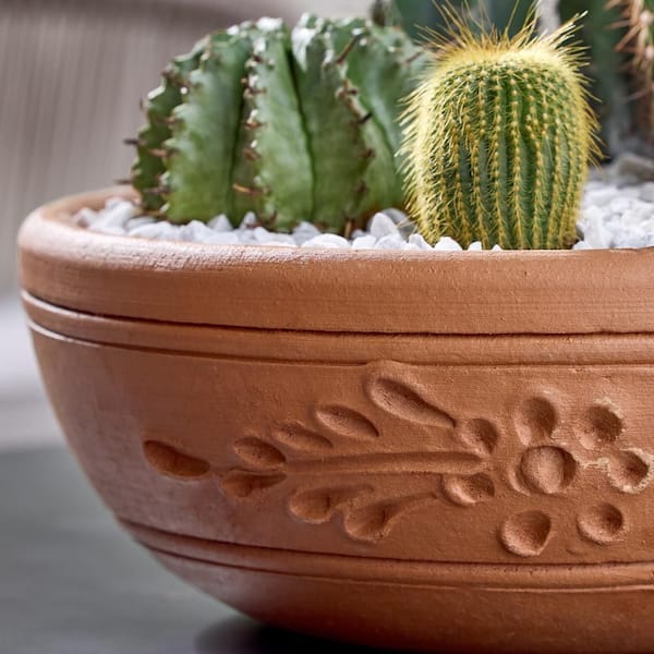 Vigoro Large Brown Terracotta Cactus Dish Planter with Drainage Hole (16  in. L x 16 in. W x 6 in. H) C9 - The Home Depot