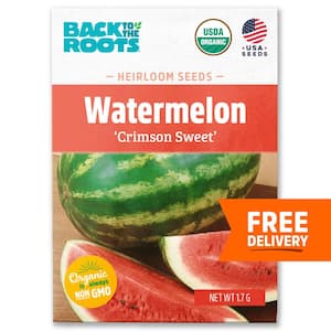 Organic Crimson Sweet Watermelon Seed (1-Pack)