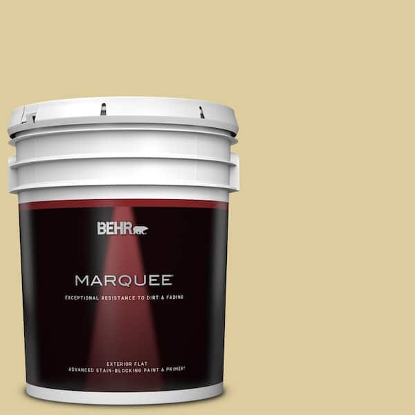 BEHR MARQUEE 5 gal. #PPU8-11 Mojito Flat Exterior Paint & Primer