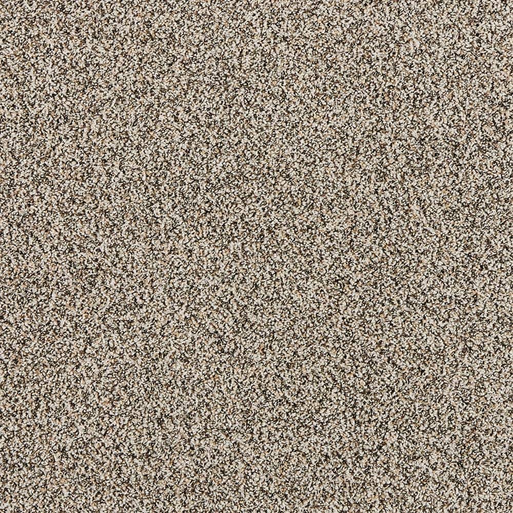 8 in. x 8 in. Texture Carpet Sample - Radiant Retreat I  - Color Moonlit price history on PriceWatchPro
