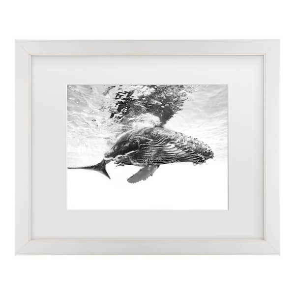 Trademark Fine Art Barathieu Gabriel Humpback Whale Calf Matted Framed Photography Wall Art 13 in. x 16 in.