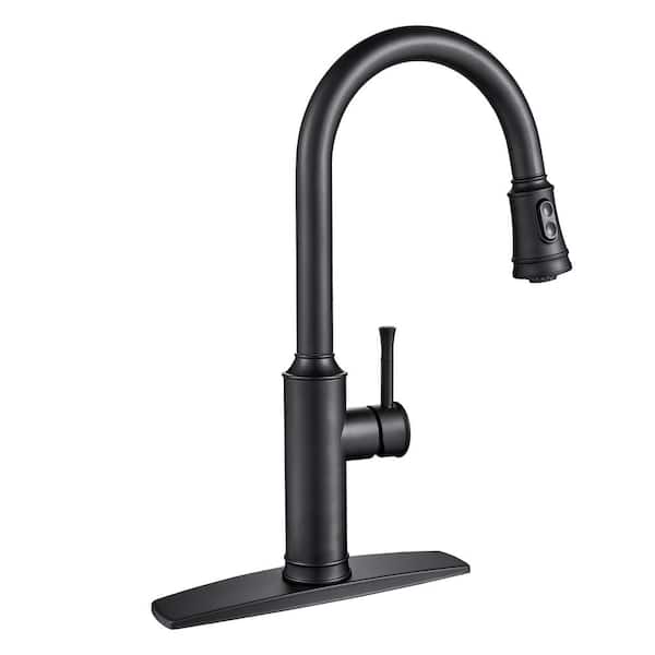androme Single Handle Pull Down Sprayer Kitchen Faucet with Pull Out Spray Wand in Matt Black