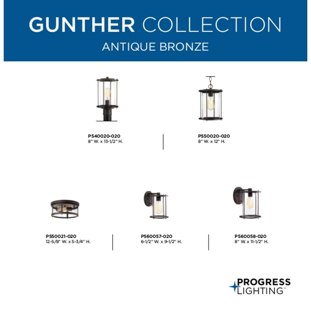 Gunther Farmhouse Clear Glass & Bronze Steel Hanging Lantern