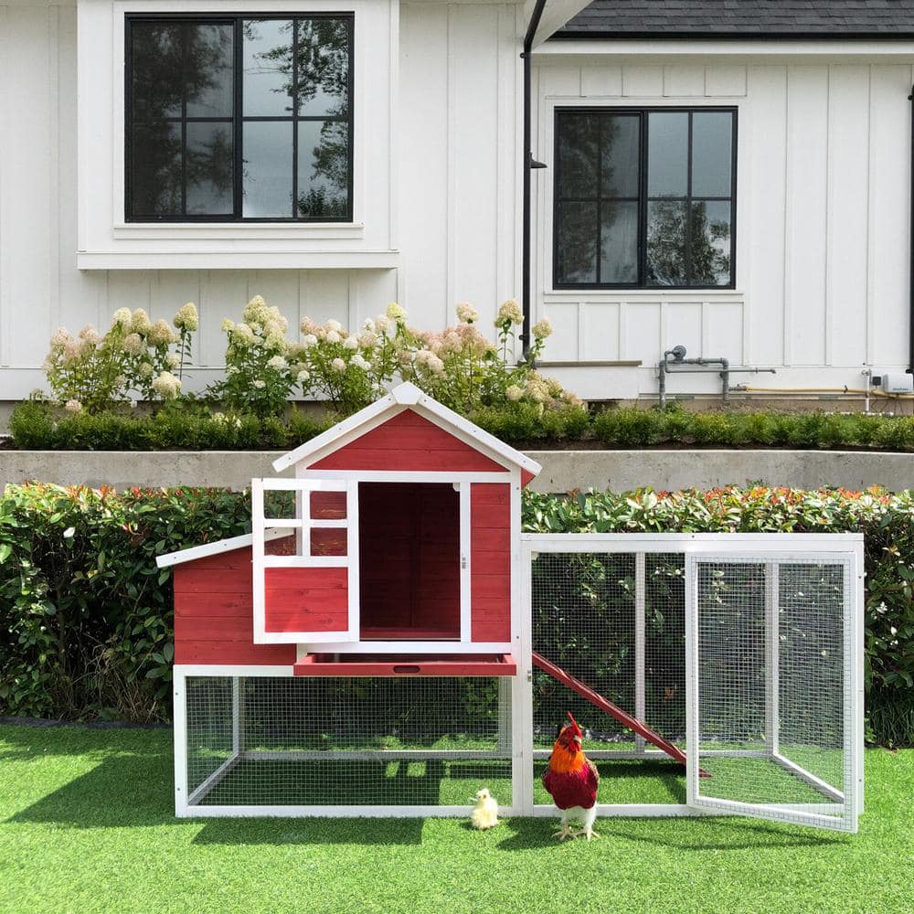 Red and White Elevated Wooden Chicken Coop with Mesh Run