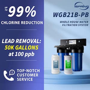 2-Stage Whole House Water Filtration System with 10 in. x 4.5 in. Carbon Block and Lead Reducing Filters
