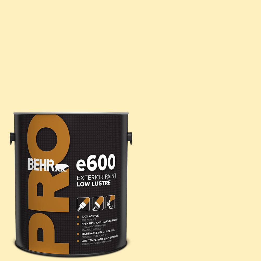 1 gal. #P300-2 Meringue Low Luster Exterior Paint price history on PriceWatchPro