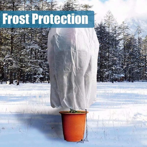 Agfabric 48 in. x 55 in. 0.95 oz. Freeze Protection Plant Cover, Winter  Tree Cover for Season Extension and Frost Protection E094855WC - The Home  Depot