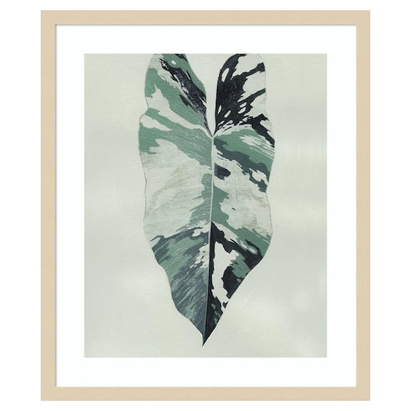 Amanti Art Variegated I by Grace Popp 1 Piece Framed Giclee Nature Art Print 25 in. x 21 in.