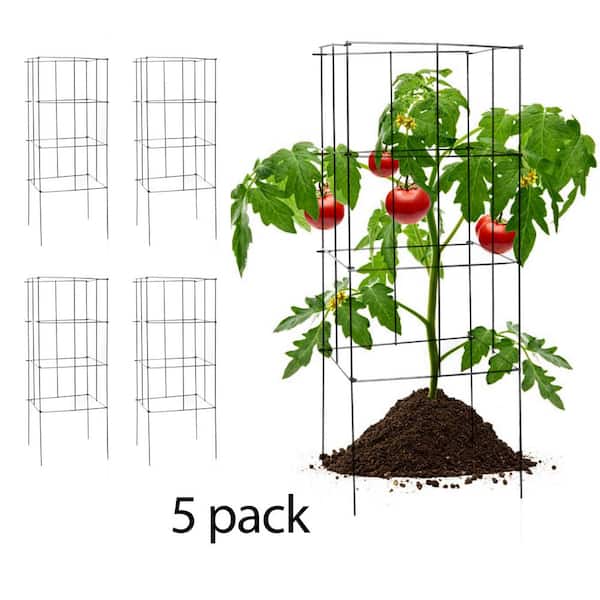Glamos Wire Products Glamos Wire 42 in. Heavy Duty Square Plant Support (5-Pack)