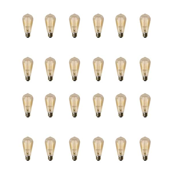 60-Watt ST19 Dimmable Cage Filament Amber Glass E26 Vintage Edison Incandescent Light Bulb Soft White 2100K (24-Pack)