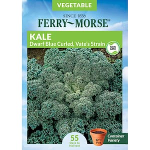 Kale Dwarf Blue Curled Vate's Strain Vegetable Seed