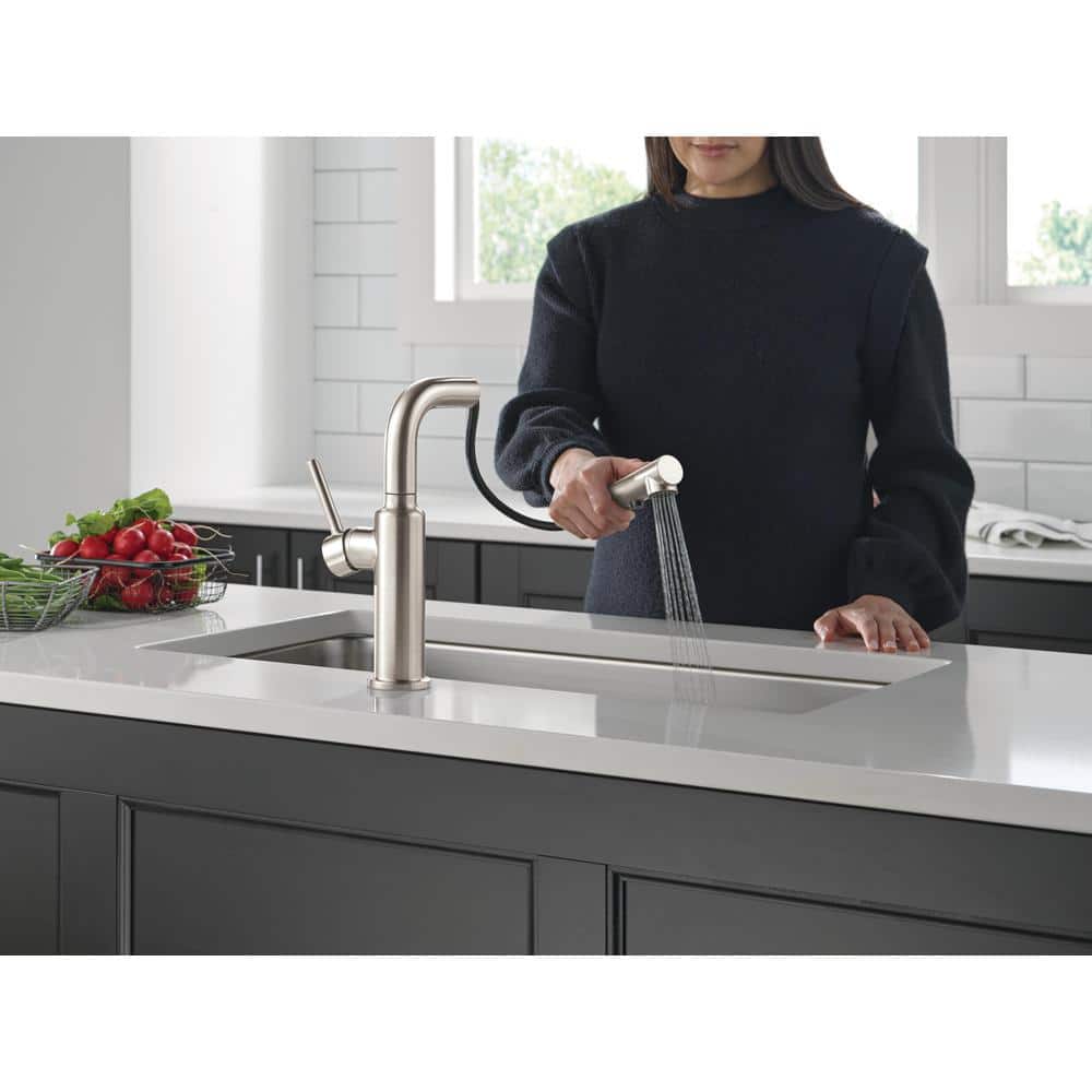 Daneri Brushed Nickel Pull-Out Kitchen Faucet with Lever Handle
