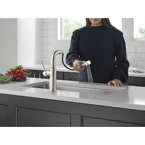 Daneri Single Handle Pull Out Sprayer Kitchen Faucet Deckplate Included in Stainless