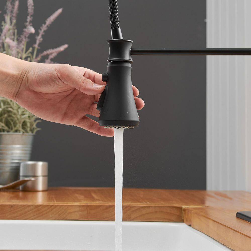 Matte Black Pull-Down Kitchen Faucet with Deck Plate
