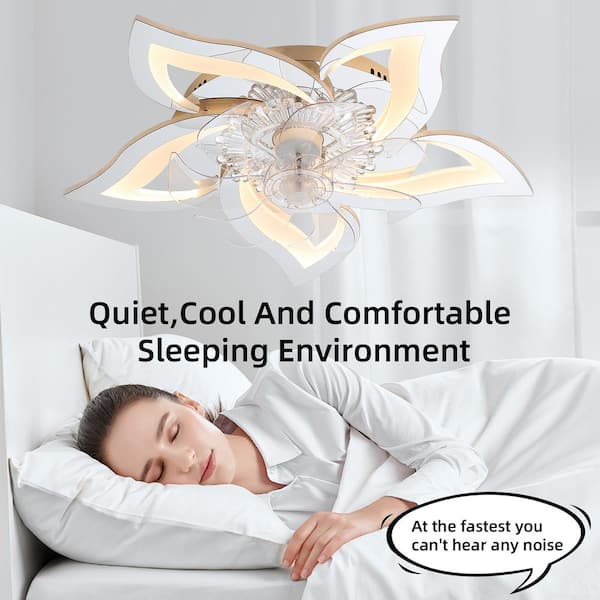 27 in. Indoor white Transparent Color Ceiling Fan with Lights Remote Contro Dimmable LED, 6 Gear Wind Speed Fan Light