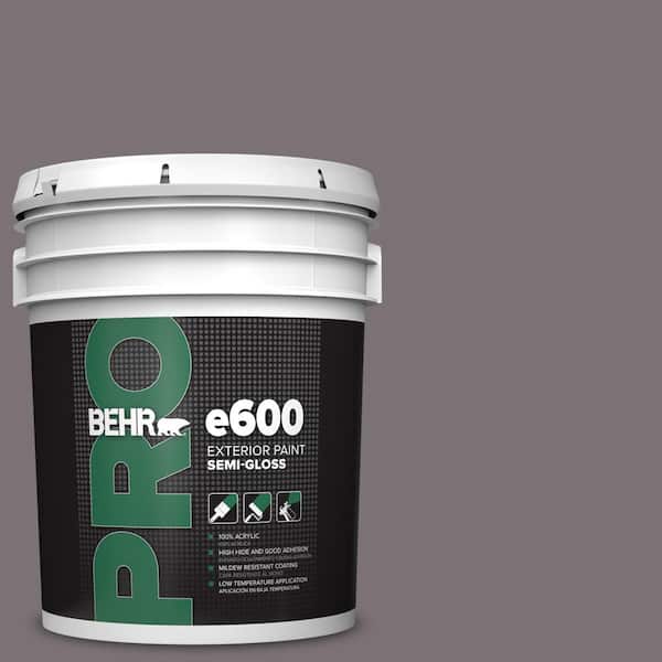 5 gal. #PPU17-18 Echo Semi-Gloss Exterior Paint