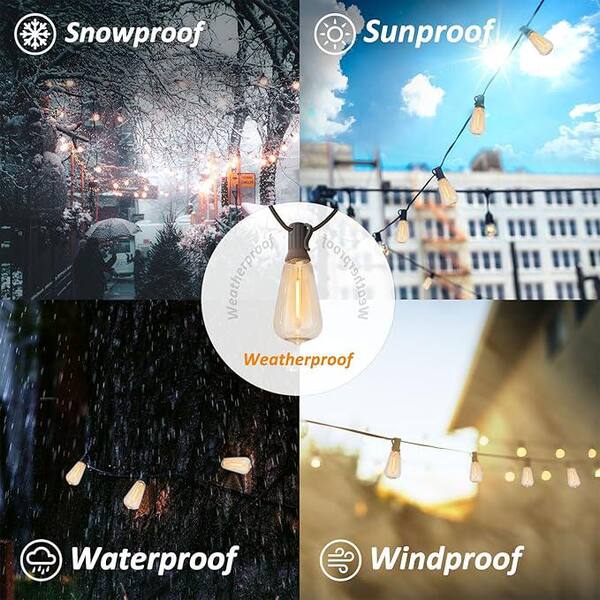 ライト・ランタン WWW_38SHADE Achin Outdoor String Lights - 50ft LED Dimmable ST38 Warm