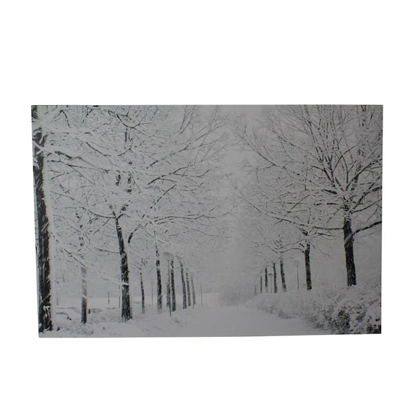 Northlight 11.75 in. x 15.75 in. Fiber Optic Lighted Snowfall Winter Lane Christmas Canvas Wall Art