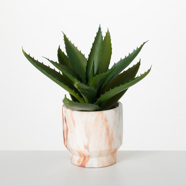 SULLIVANS 10 in. Artificial Agava In Marbleized Planter; Green