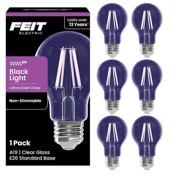 7-Watt A19 Glass Black Light Party E26 Medium Base LED Light Bulb (6-Pack)