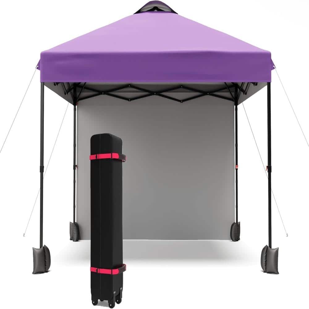 10 ft x 10 ft Outdoor Canopy Tent with Sidewalls, Instant Pop Up Event Shelter price history on PriceWatchPro