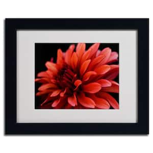 11 in. x 14 in. Red Dahlia Matted Framed Art